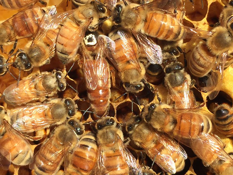 Featured Image -- 393