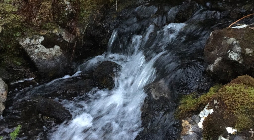 Choosing Flow over Fear: On Faith and&nbsp;Decisions